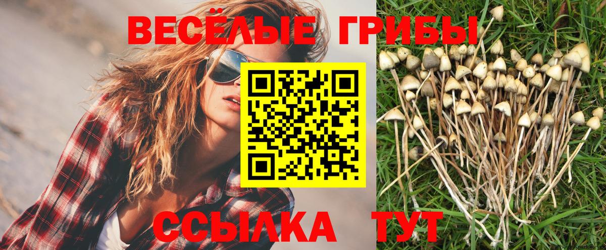 Псилоцибиновые грибы прущие грибы Скопин